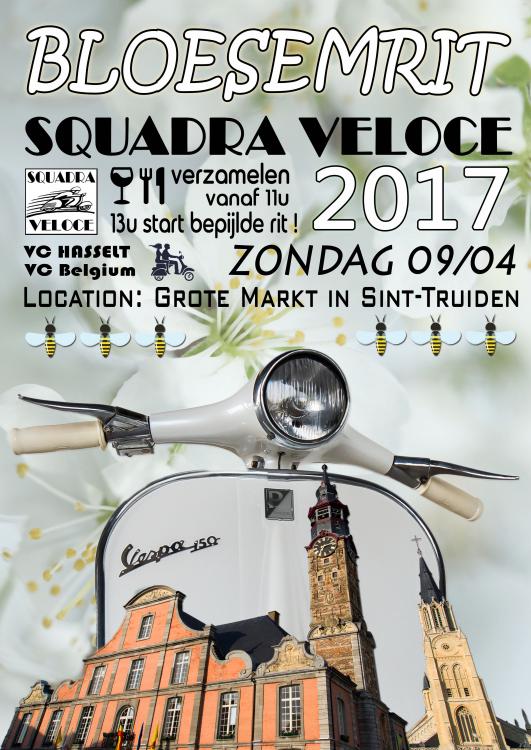 Bloesemflyer 2017.jpg