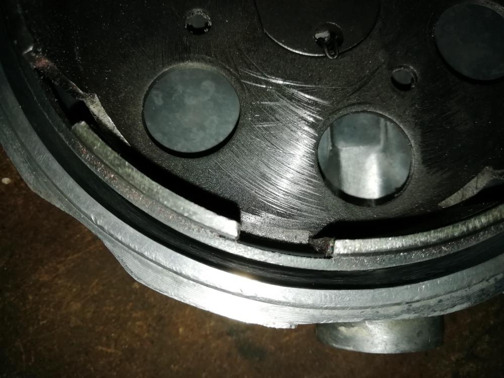 FCA9966A-BEF6-484D-B934-448077F90FAF.thumb.jpeg.f6afe6e4a5f86f1c3289b607cfffd927.jpeg